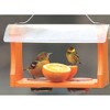 Birds Choice Orange & Jelly Oriole Bird Feeder 7" Orange: Recycled Plastic, Weather-Resistant, No Assembly Required - 4 of 4