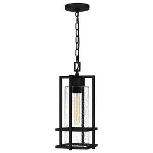 Quoizel Lighting Damien 1 - Light Pendant in  Earth Black - 1 of 3