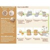 Marukome Miso & Easy Miso Broth Concentrate - Original - 15.1 oz - 3 of 4