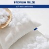 Itopfox Decorative Rectangle Throw Pillow Insert, Premium Fluffy Pillow Forms Stuffer for Sofa Couch Living Room - 2 of 4