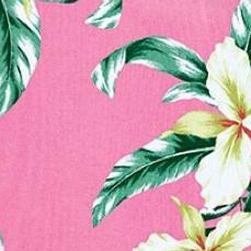 pink hibiscus