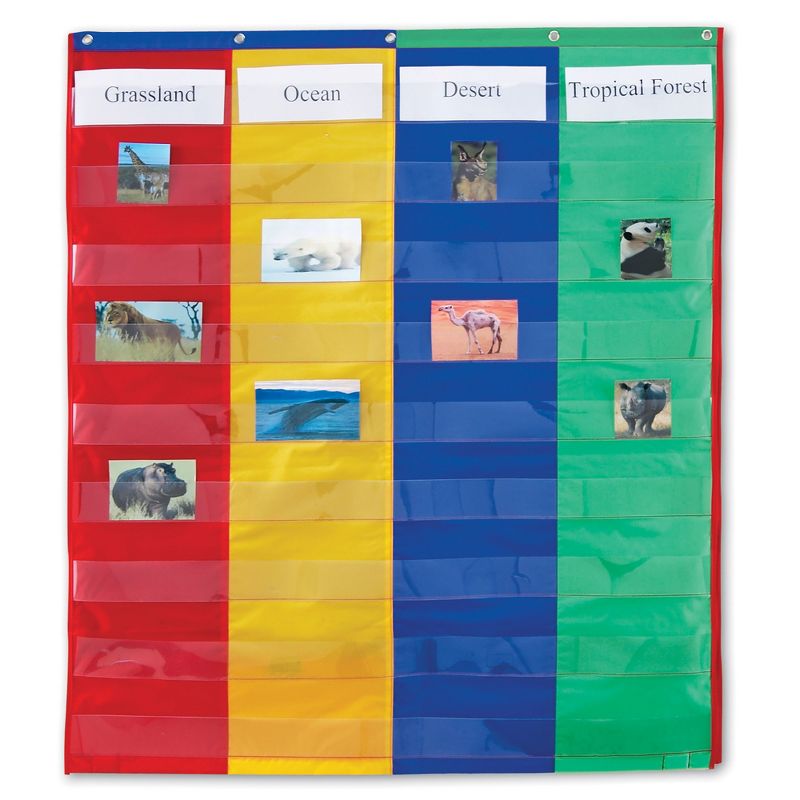 Learning Resources 2 and 4 Column Double-Sided Pocket Chart, 1 of 6