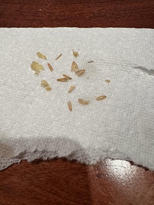 Guest review image 1 of 1, zoom in