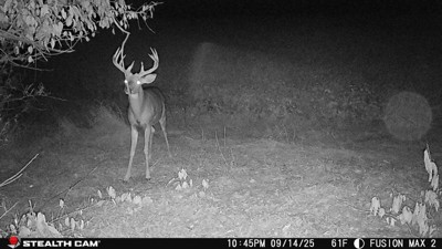 Guest review image 1 of 1, zoom in