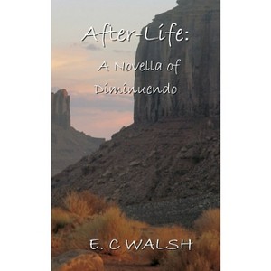 After-life - by  E C Walsh (Paperback) - 1 of 1