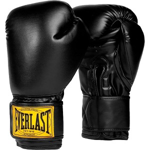 Everlast 1910 Classic Hook and Loop Boxing Gloves - 1 of 1