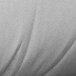 silvergrey