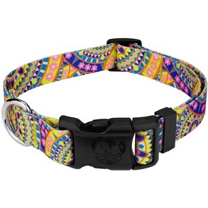 Country Brook Petz Deluxe Dog Collar - Groovy Collection - 1 of 4