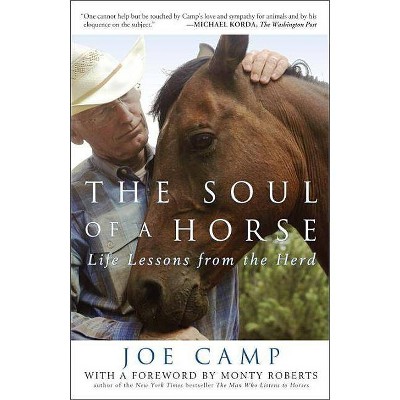 The Soul of a Horse - by  Joe Camp (Paperback)