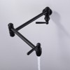 WOWOW Wall Mounted Pot Filler with Double Handle in Brushed Nickel - 2 of 4