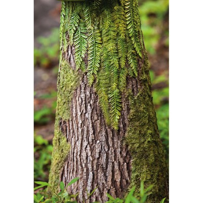 Sherwood Fern Fairy Polystone Resin Bird Feeder Statue