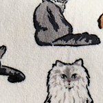 a cat's life cream