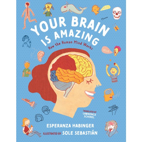 Your Amazing Brain