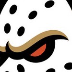 anaheim ducks