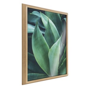 Kate and Laurel Blake Agave II Framed Printed Art by Emiko and Mark Franzen of F2Images, 24x32, Natural - 1 of 4