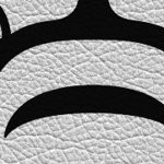 georgia bulldogs uga