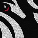 georgia bulldogs uga