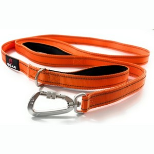 Locking Carabiner Nylon Dog Leash – 1 or 2 Handle – Enthusiast Gear - 1 of 4