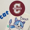 College of Charleston Cougars Logo Automotive Car Refrigerator Locker Vinyl Circle Magnet - 4 of 4