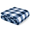 PAVILIA Premium Fleece Throw Blanket for Sofa Couch, Soft Flannel Plaid Stripe Decorative Print Blanket - 2 of 4