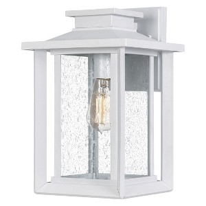 Wakefield 1-Light Outdoor Wall Lantern - 1 of 4