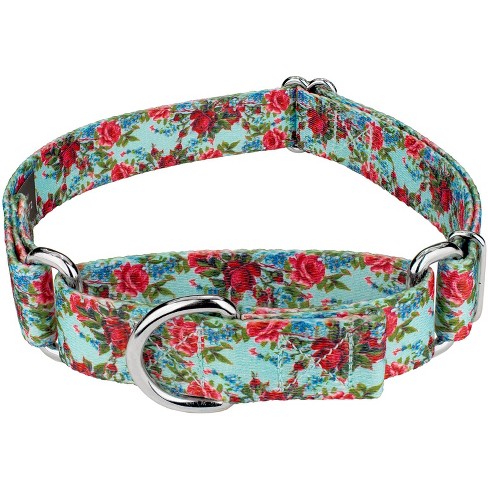 Extra small hot sale martingale collar