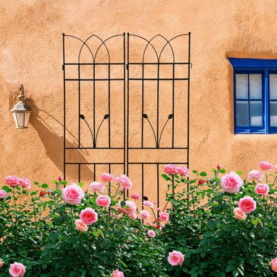 Aghana Digitals 2-Pack 71"x17.7" Rustproof Metal Garden Trellis for Climbing Plants - Sturdy