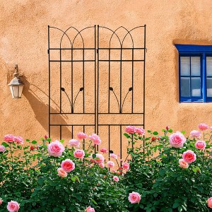 Aghana Digitals 2-Pack 71"x17.7" Rustproof Metal Garden Trellis for Climbing Plants - Sturdy - 1 of 4
