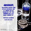 Absolut Vodka - 750ml Bottle : Target