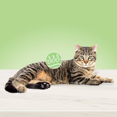 blue buffalo skin and coat