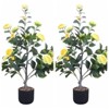 Artificial Camellia Blossom Tree with Yellow/Orange Flowers in Pot for Home, Office, Indoor Plant, Decorative Plant - 2 of 4