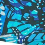 teal blue butterfly
