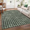 Checkered Rug for Living Room Blue Braided Geometric Print Soft Low-Pile Thin Large Washable Rugs - 2 of 4