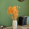 Uniquewise Preserved Real Floral Stems Chic Vase Fillers & Accents for Bouquets Centerpieces - 2 of 4