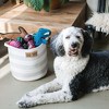 Midlee Dog Toy Rope Cotton Basket - 3 of 4