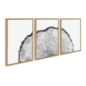 Kate and Laurel Sylvie Tree Rings Set Framed Canvas by Emiko and Mark Franzen of F2Images, 3 Piece 18x24, Natural - 1 of 4