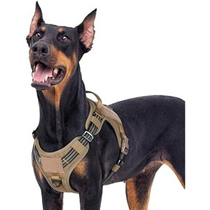 rabbitgoo Dog Harness for Large Dogs No Pull, l Handle, for Easy Walking and Training, Brown, XL - 1 of 1