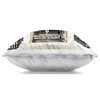 Stupell Industries Fashion Urban Architecture Shop Indoor Decorative Throw Pillow, 18 x 18 - 2 of 3