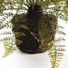 Plum & Post Soft Fern Drop-In 18.5" - 4 of 4