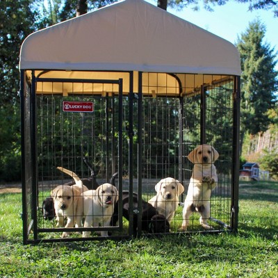 Khaki Steel Frame Outdoor Dog Kennel with Waterproof Roof