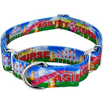 Country Brook Petz® 3/8 Inch Red Martingale Heavyduty Nylon Dog Collar,  Extra Small : Target