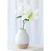 Shiraleah White Decorative Loma Vase with Terrecotta base - 2 of 4