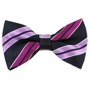 Men's Stripe Color 2.75 W And 4.75 L Inch Pre-Tied adjustable Bow Ties - 1 of 3