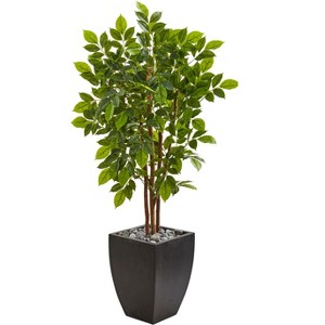 Nearly Natural 57-in River Birch Artificial Tree in Black Planter - 1 of 1