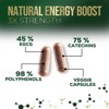 Green Tea - Natural Weight Loss & Fat Burn Supplement with 1000mg EGCG Extract - 60 Capsules;120 Capsules;240 Capsules - 3 of 4