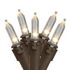 Northlight LED Mini Christmas Lights - Warm White - 16.25' Brown Wire - 50ct - 2 of 3