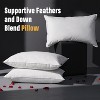 Aghana Digitals Goose Feather Down Pillows Set of 2, Queen Size, 100% Cotton - 2 of 4