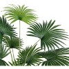 Artificial Tree - Faux 72" Potted Palm Tree - FXP2005 - Green - Safavieh - 4 of 4