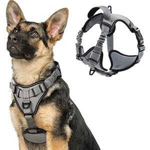 rabbitgoo Dog Harness, No Pull Dog Vest Harnesses with Bungee Handle & 2 Metal Clips, Belly Adjustable, Soft Padded for Large Medium Small Dogs - 1 of 1