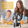 Eurolux Die Cast Stainless Steel Electric Citrus Juicer, 300W of power, 2 Filters - 2 of 4